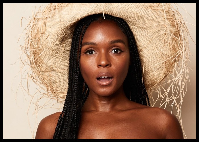 Janelle Monae Shares New ‘Water Slide’ Video