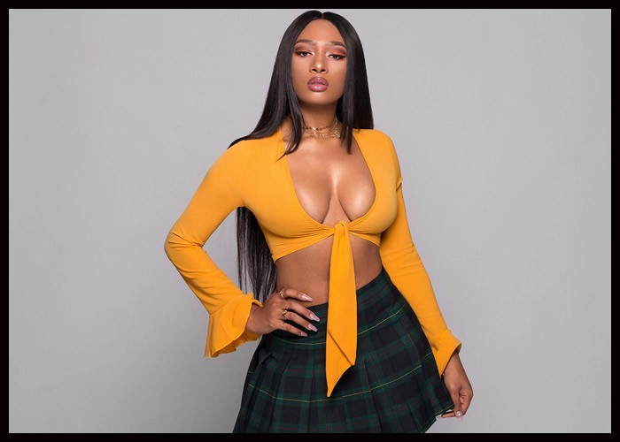 Megan Thee Stallion Teams Up With Goldbelly For ‘H-Town Hottie Pie’