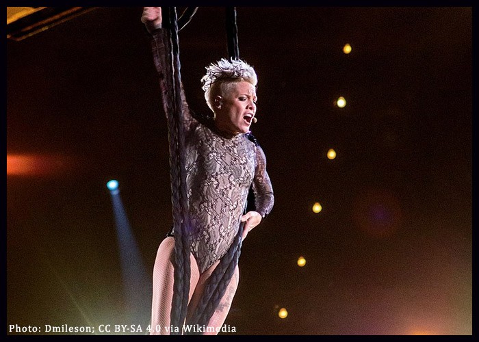Pink Announces New 2024 Arena Tour Dates