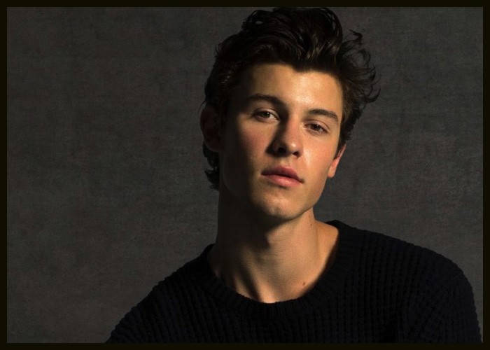 Shawn Mendes Releases New Breakup Song ‘When You’re Gone’