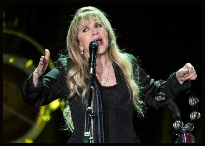 Stevie Nicks, The Strokes & Run The Jewels To Headline Shaky Knees 2021